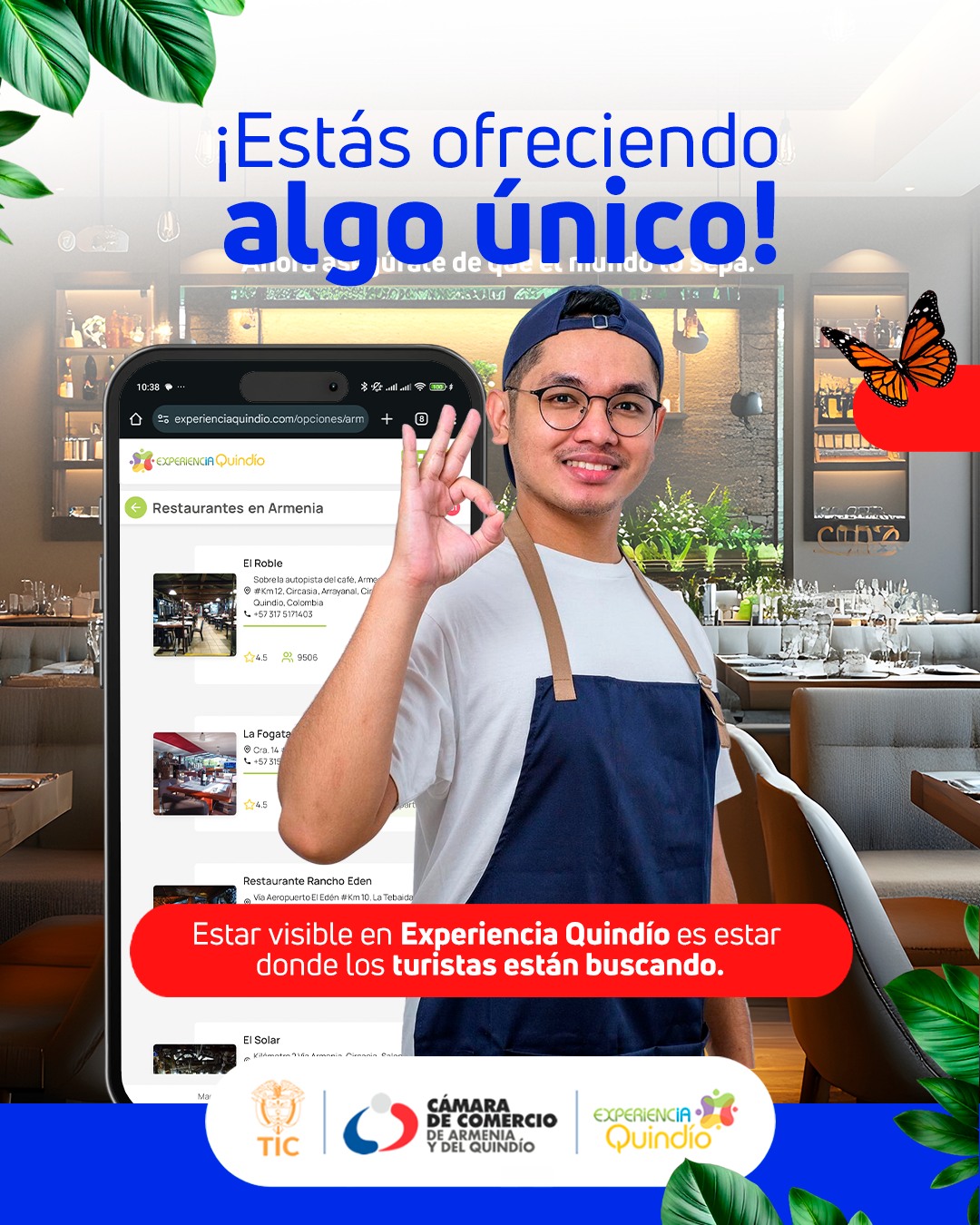SaveClip.App_500103553_122146419530596511_4408977646643430645_n
